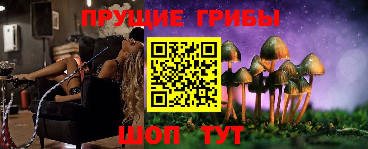 Нальчик  Галлюциногенные грибы Psilocybe  Вход с VPN 